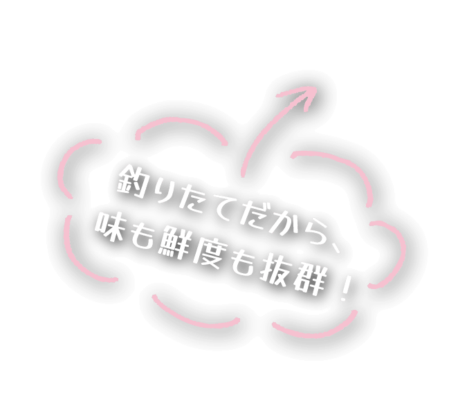 釣りたてだから、味も鮮度も抜群